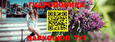 apvp Нягань