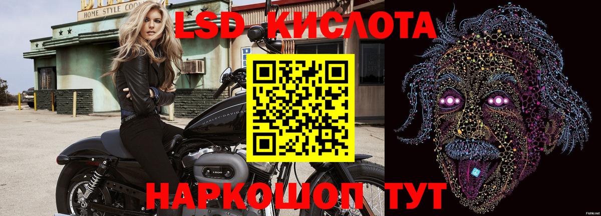 где найти наркотики  Вход с VPN  Наркотические марки 1,5мг  Новочеркасск  Наркотические марки 1,5мг  Марки NBOMe 