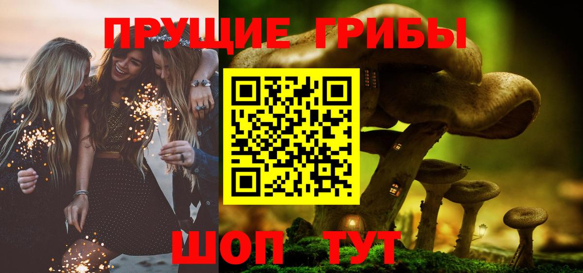 Псилоцибиновые грибы GOLDEN TEACHER Новочеркасск